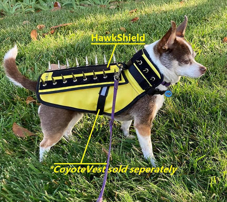 Hawkshield Pad for or Spikevest Dog Harness Vest, Protective Dog Accessories to Shield Your Pet from Raptor, Hawk, Coyote and Animal Attacks