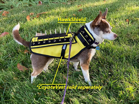 Hawkshield Pad for  or Spikevest Dog Harness Vest, Protective Dog Accessories to Shield Your Pet from Raptor, Hawk, Coyote and Animal Attacks