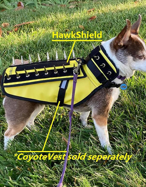 Load image into Gallery viewer, Hawkshield Pad for  or Spikevest Dog Harness Vest, Protective Dog Accessories to Shield Your Pet from Raptor, Hawk, Coyote and Animal Attacks
