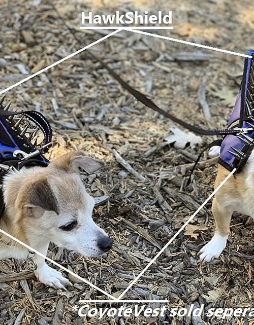 Load image into Gallery viewer, Hawkshield Pad for  or Spikevest Dog Harness Vest, Protective Dog Accessories to Shield Your Pet from Raptor, Hawk, Coyote and Animal Attacks
