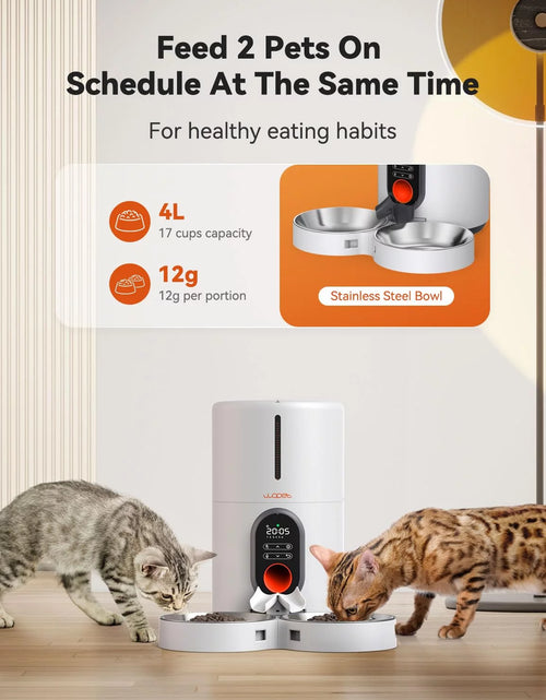 Load image into Gallery viewer, Automatic Cat Feeders for 2 Cats - Timed Dog Food Dispenser with Splitter and Two Stainless Bowls, Cat Feeders 10S Meal Call, 6 Meals per Day for Cats &amp; Small Dogs, White
