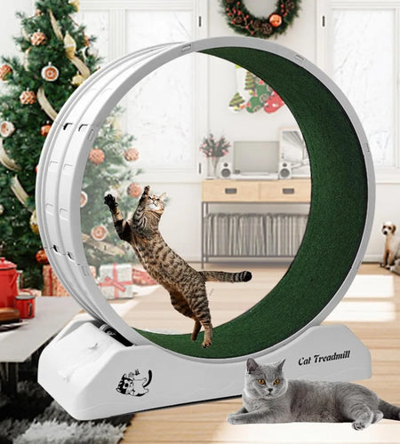 Cat Treadmill Wheel Exerciser for Kitty’S Longer Life Interesting Products Cat Running Wheel with Carpeted Runway Cats Toys Pet