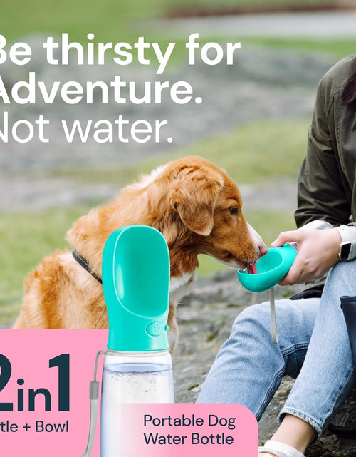 Load image into Gallery viewer, Dog Water Bottle, Lightweigh, Leak Proof Portable Travel Dog Water Dispenser - Perfect Puppy Drinking Bowl on the Go for Outdoor Walking and Hiking - Pet Accessories (19Oz, Blue)
