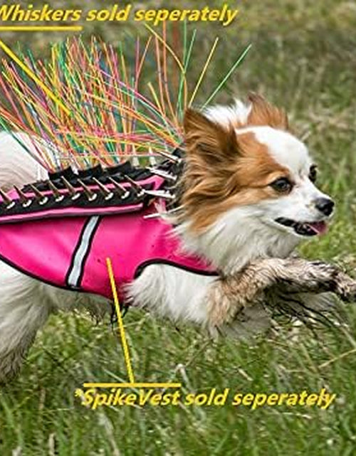 Load image into Gallery viewer, Hawkshield Pad for  or Spikevest Dog Harness Vest, Protective Dog Accessories to Shield Your Pet from Raptor, Hawk, Coyote and Animal Attacks
