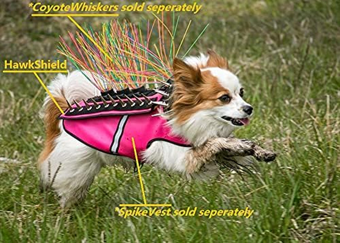 Hawkshield Pad for  or Spikevest Dog Harness Vest, Protective Dog Accessories to Shield Your Pet from Raptor, Hawk, Coyote and Animal Attacks