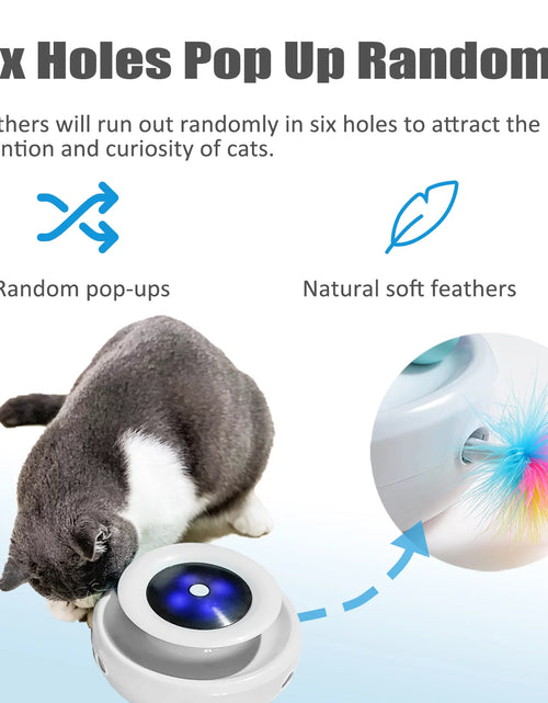 Load image into Gallery viewer, Cat Toys 2-In-1 Interactive Cat Toys for Indoor Cats, Cat Balls, Cat Mice Toy, Cat Entertainment Toys, Electric Cat Toy for Cats/Kittens, Dual Power Supplies, White
