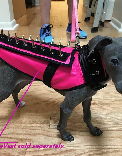 Load image into Gallery viewer, Hawkshield Pad for  or Spikevest Dog Harness Vest, Protective Dog Accessories to Shield Your Pet from Raptor, Hawk, Coyote and Animal Attacks
