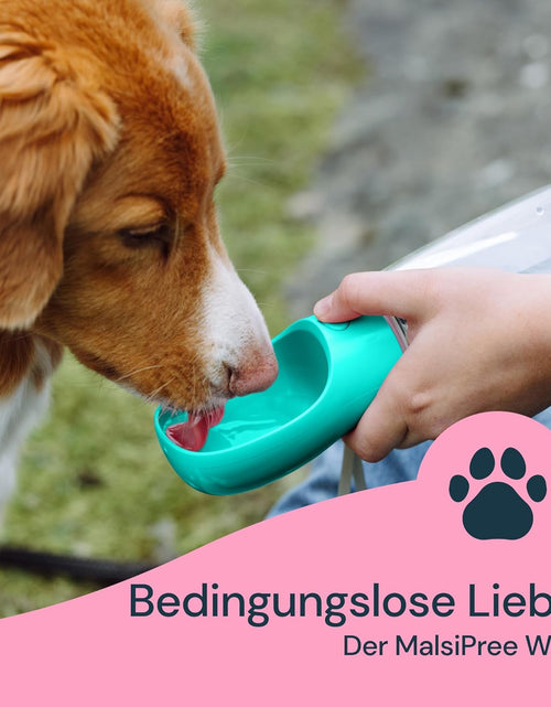 Load image into Gallery viewer, Dog Water Bottle, Lightweigh, Leak Proof Portable Travel Dog Water Dispenser - Perfect Puppy Drinking Bowl on the Go for Outdoor Walking and Hiking - Pet Accessories (19Oz, Blue)
